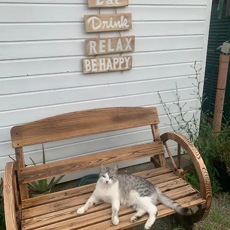 ベッド・アンド・ブレックファスト B & Eat Il Borgo