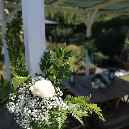 Nocleg ze śniadaniem B & Eat Il Borgo